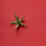 Logo设计 | 超赞！知名品牌Logo矢量资源下载