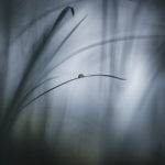 Straightline | 比AV视频还丰富的网页设计酷站