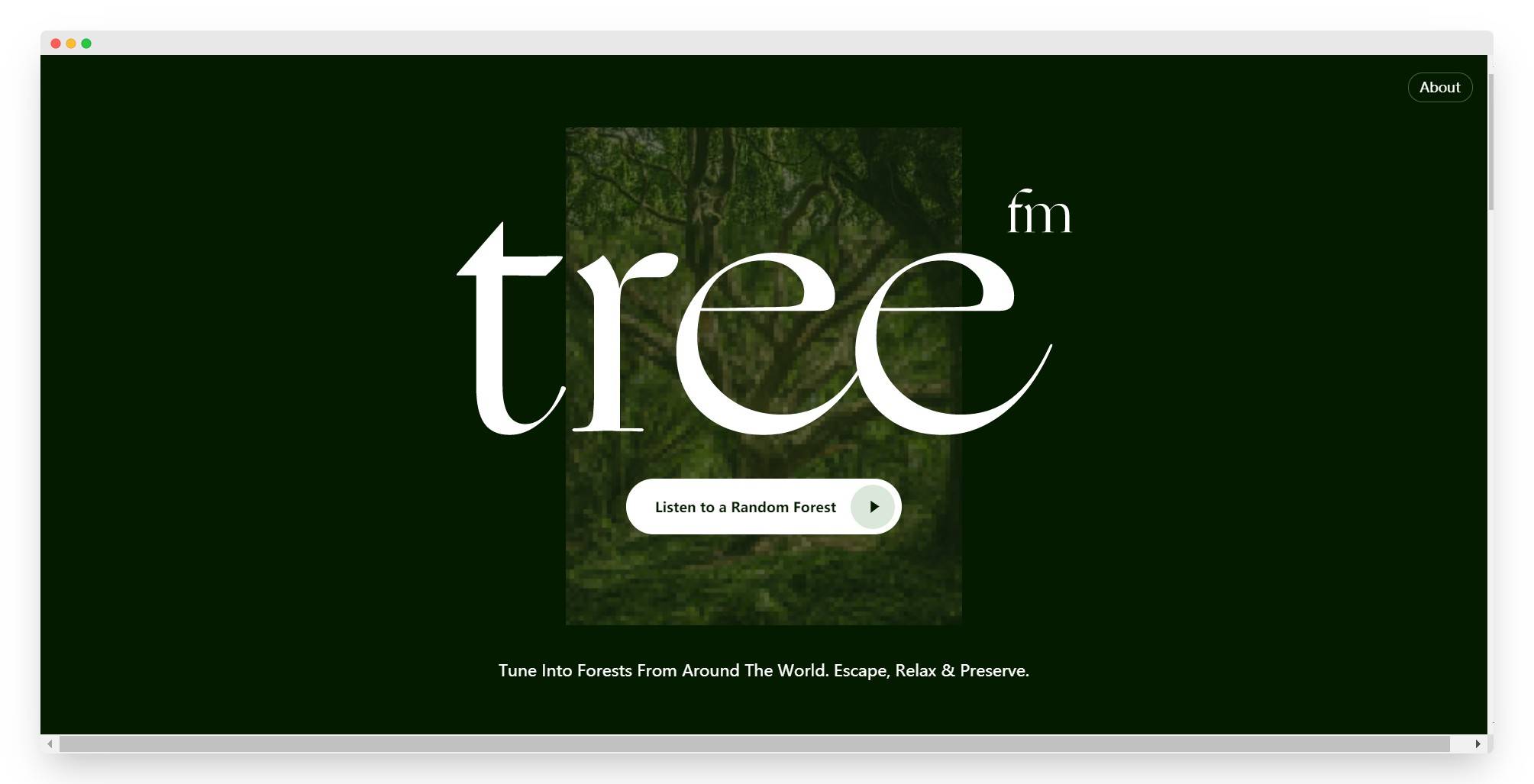 Tree.fm | 世界各地森林音效网站-Boss设计