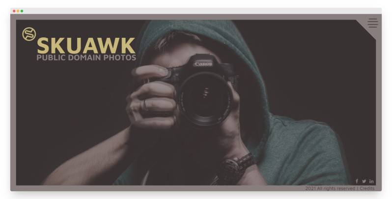 Skuawk | 国外免费优秀的摄影图库-Boss设计